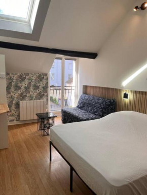 Studio duplex Hypercentre au calme avec parking